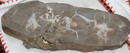 Ferro-Enstatit - Bronzit