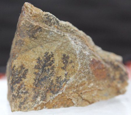 England - Schottland - Wales