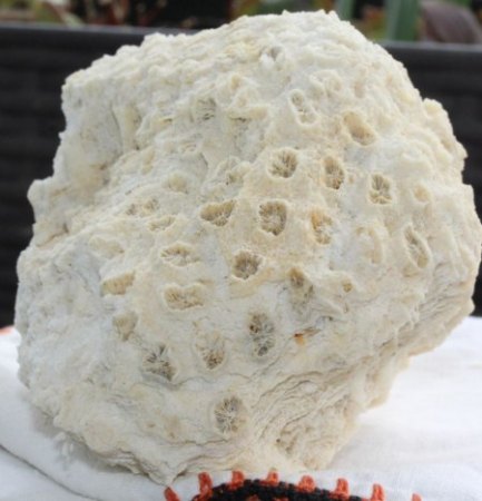 Binghamit und seine steinigen Mitbewohner