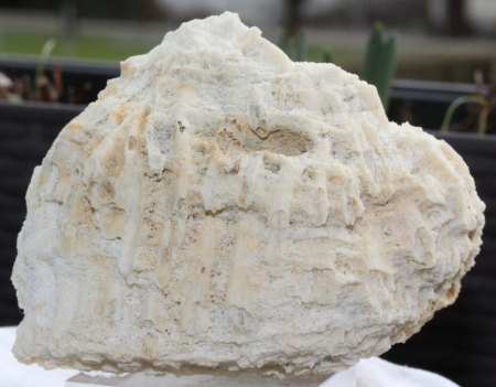 Binghamit und seine steinigen Mitbewohner