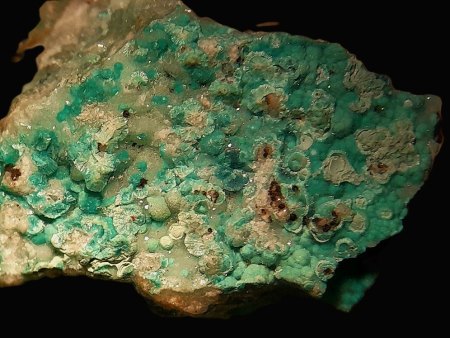 Mikromount-Auswahl aus Sammlung Norbert