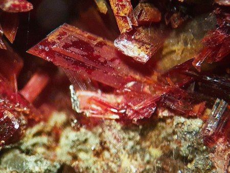 Mikromount-Auswahl aus Sammlung Norbert