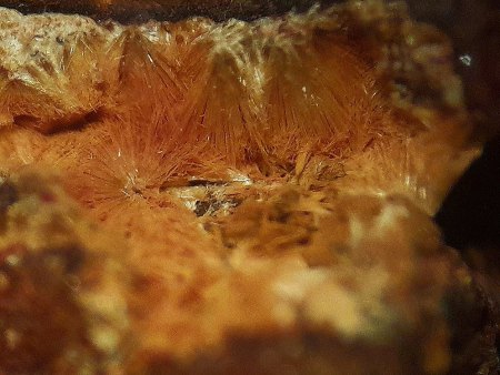 Mikromount-Auswahl aus Sammlung Norbert