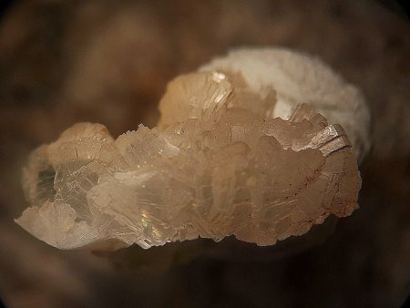 Mikromount-Auswahl aus Sammlung Norbert