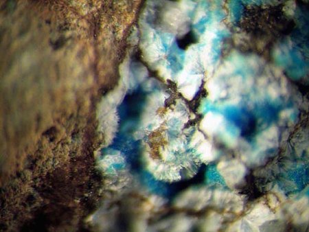 Gelände- bzw. Eigenfunde McSchuerf