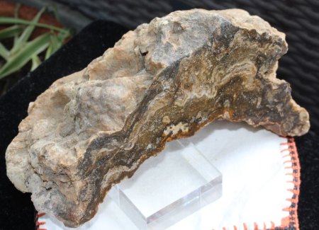 Mineralien aus Bolivien