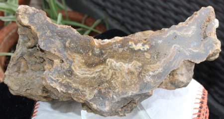 Mineralien aus Bolivien