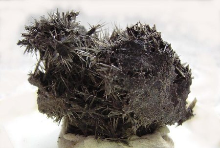 [ WIKI ] Polymorphie