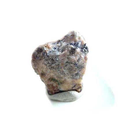 [ WIKI ] Polymorphie