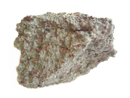 [ WIKI ] Polymorphie