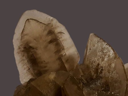 [ WIKI ] Zwillingsbildung