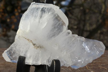 [ WIKI ] Zwillingsbildung