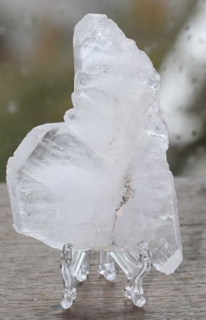 [ WIKI ] Zwillingsbildung