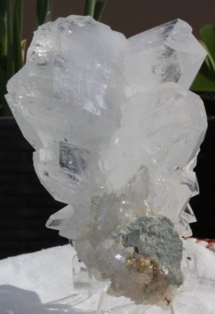 [ WIKI ] Zwillingsbildung