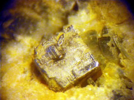 Pyrit Stb. ZufurtIMGP3768.jpg