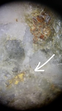 [B] Gold auf Quarz-Arsenopyrit-Matrix Fundkofel