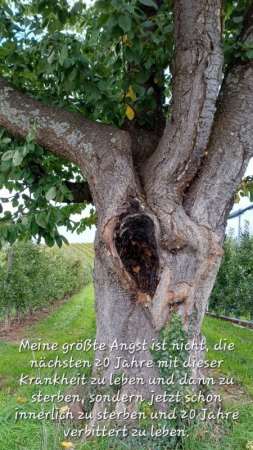 Baumbart lässt grüssen ....
