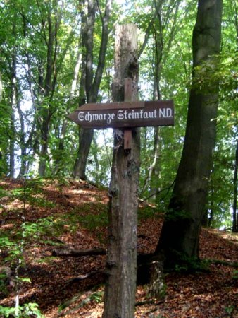 Baumbart lässt grüssen ....