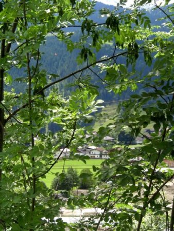Baumbart lässt grüssen ....