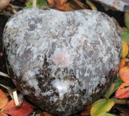 Österreich - Noch unbekannte Fundorte