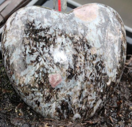 Österreich - Noch unbekannte Fundorte