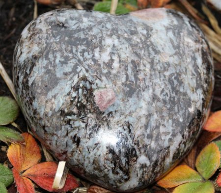 Österreich - Noch unbekannte Fundorte