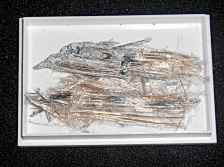 RSCN0840.jpg