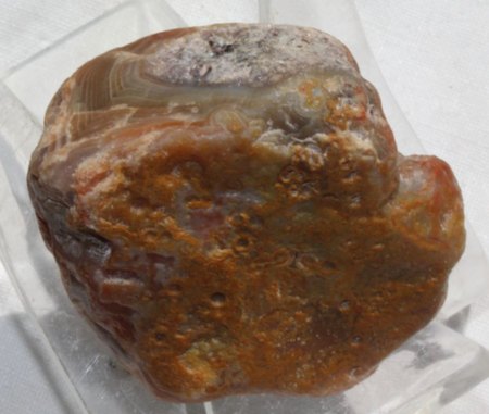 Binghamit und seine steinigen Mitbewohner