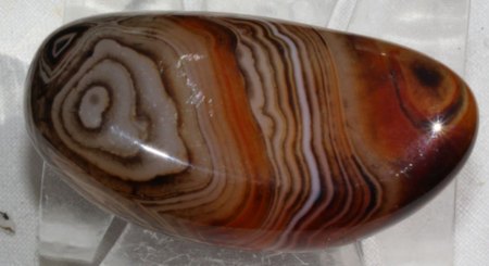 Binghamit und seine steinigen Mitbewohner