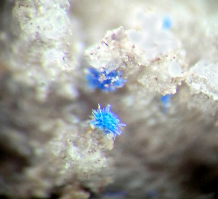 Was sind Eure wertigsten Mineralien?