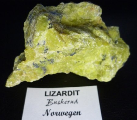 [ WIKI ] Lizardit