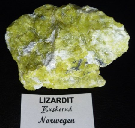 [ WIKI ] Lizardit