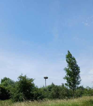 Bilder von Fauna und Flora