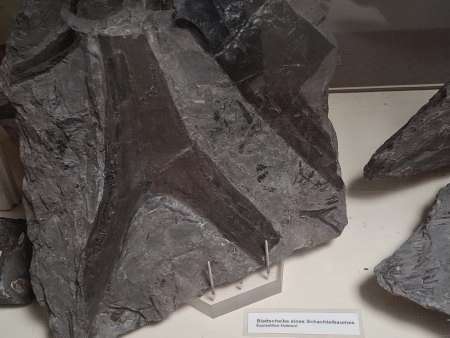 Bergbaumuseum in Bexbach / Saarland