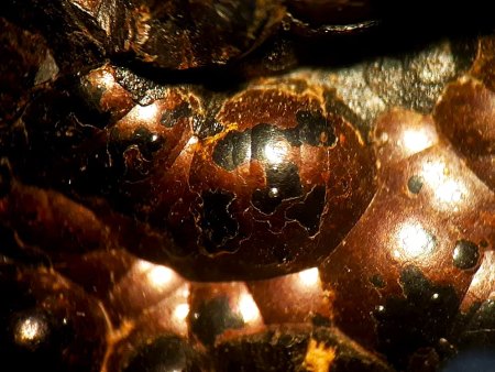 Hadermannsgrün-Mineralien aus den Diabasen des Frankenwaldes