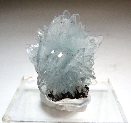 Mineralienkabinett McSchuerf