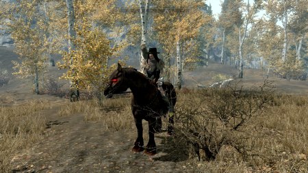 Skyrim - Das Spiel für alle Abenteurer