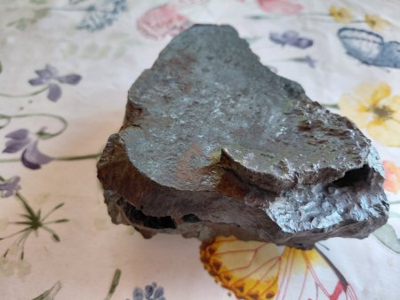 Schwarzes Gestein im Wald gefunden