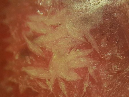 Unbekannte xx in Rhodochrosit