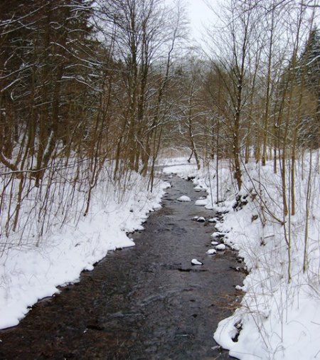 Winterstimmung in Thüringen.JPG