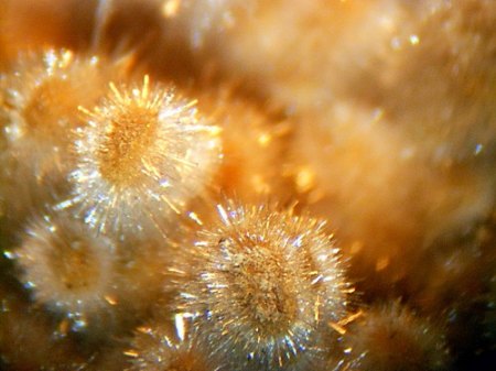 Natrolith (2) Hammer-UnterwiesenthalDSCN7618.JPG