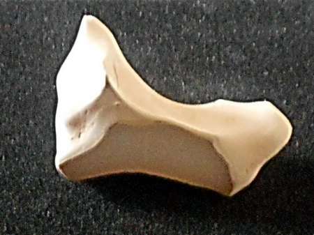 RSCN0699.jpg