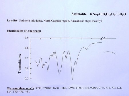 RSCN2805.jpg