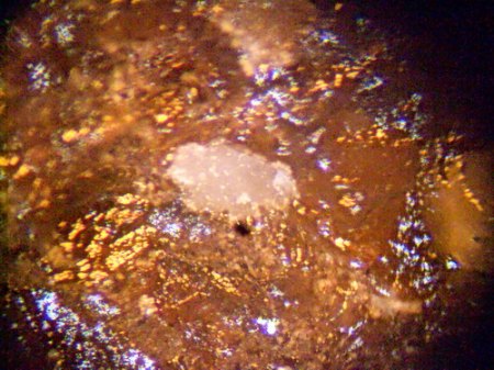 Satimolit Satimola,KasachstanDSCN2842.JPG
