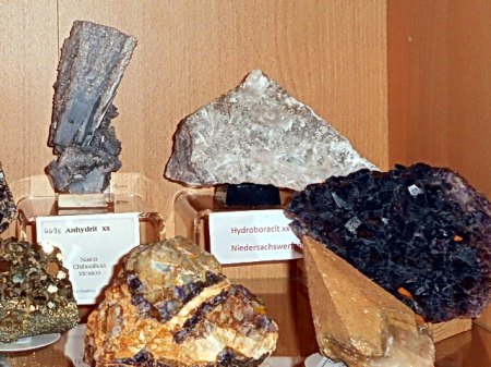 mit Handstufen bestücktes VitrinenfachRSCN2875.JPG