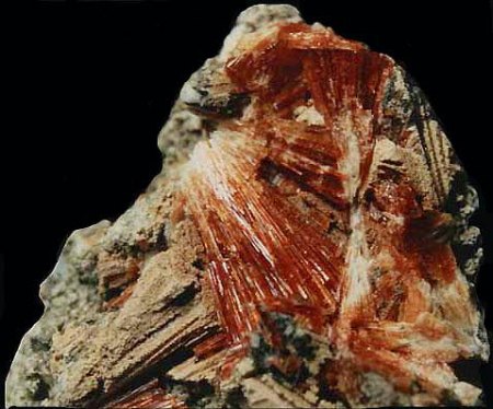 Labuntsovit_Chibiny-Massiv_Kola-Halbinsel_Murmansk_Russland_Peter.JPG
