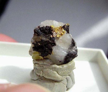 Gold_Zinkblende_Porcupine_Ontario_Kanada_Peter.jpg