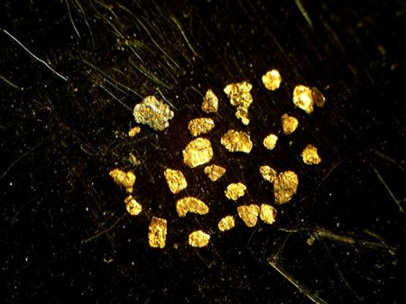 Gold Germersheim  20X_Lutz_Peter.jpg