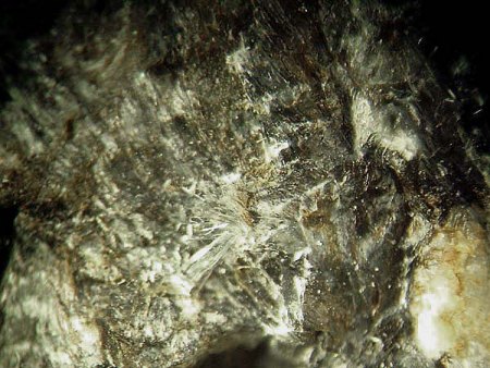 _Eigenfund_Aktinolith-Asbest_Falkenstein_Königstein_Hessen_Taunus_Peter_29.8.09.JPG