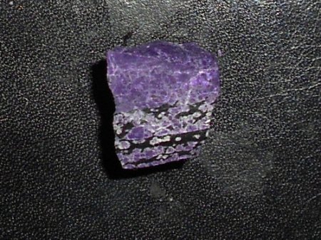 RSCN5554.jpg